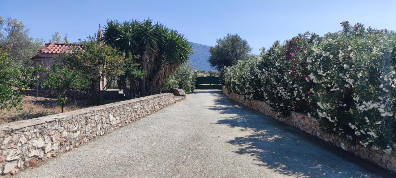 Ellie'S Stonehouse Gianapa, Porto Rafti, Greece, 190 03, Gr Villa Exterior foto